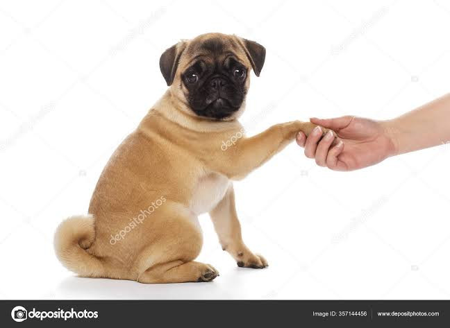 Mirian Da Silva Ferreira