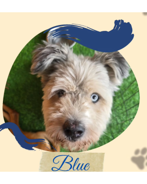 Blue