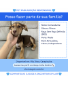 comandante-small-0