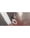 preciso-de-um-hogar-small-0