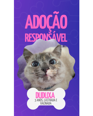 Duduxa castrada e vacinada