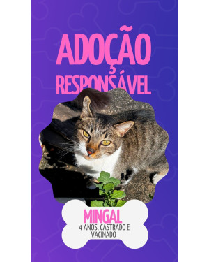 Mingau vacinado e castrado
