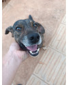 voce-pode-ser-a-familia-da-pandora-small-2
