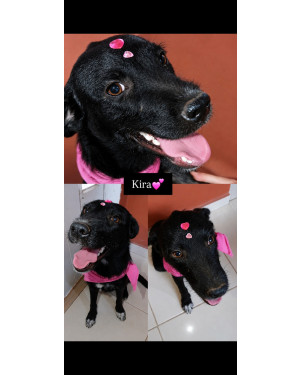 Kira