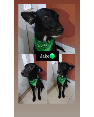 Jake
