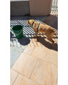 caramelo-thor-small-3