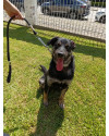 toto-eximio-brincador-de-pegar-bolinhas-small-2