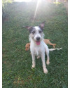 madalena-small-3