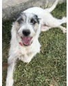 madalena-small-3