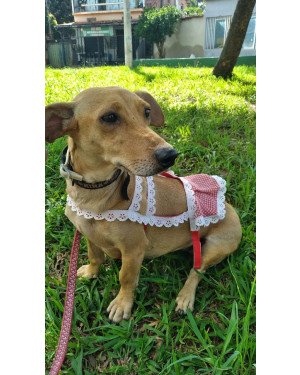 Uma chance para doce Nina