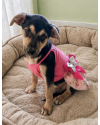 amada-alika-small-2