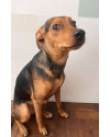 adote-zezinho-small-2
