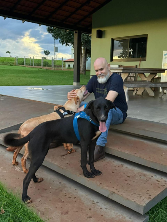 sol-e-lua-adocao-doacao-cachorro-gato-0