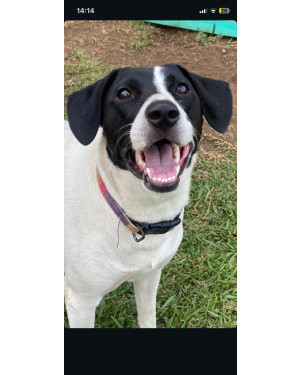 Branca esta te esperando