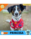 princesa-para-adocao-responsavel-small-1