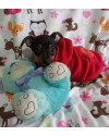pequeno-will-small-2