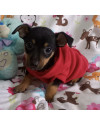 pequeno-will-small-0