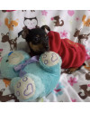 pequeno-will-small-4