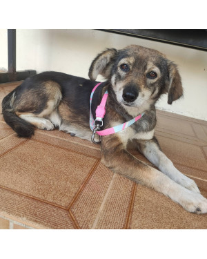 Princesa