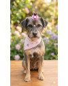 kika-small-1
