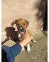 rogerio-small-1