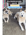 thor-e-zeus-small-0