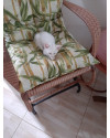 2-gatinhos-branquinhos-lindos-e-saudaveis-small-0