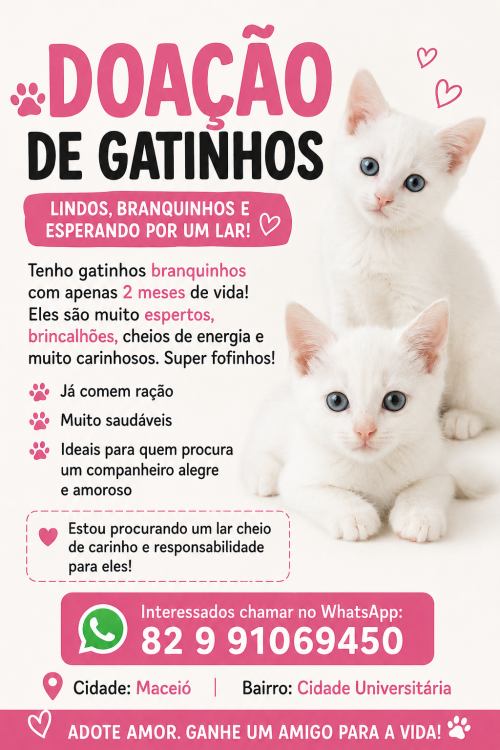 2-gatinhos-branquinhos-lindos-e-saudaveis-adocao-doacao-cachorro-gato-3