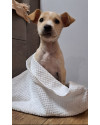 antonia-small-3