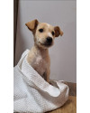 antonia-small-2