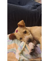 antonia-small-1