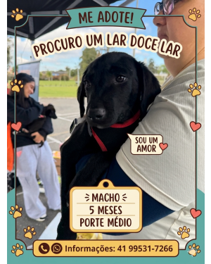 ADOTE O PRETINHO