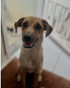 doacao-responsavel-lunna-small-0