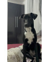 doacao-urgente-small-0