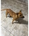 beatriz-quer-um-lar-small-4