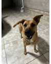 beatriz-quer-um-lar-small-2