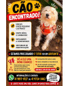 adote-o-tob-small-2