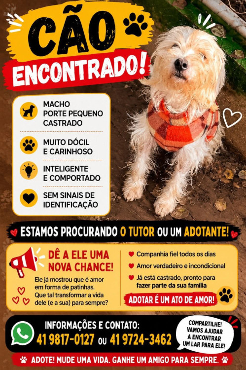 adote-o-tob-adocao-doacao-cachorro-gato-2