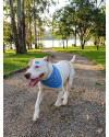 thor-lindo-e-feliz-small-1
