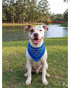 thor-lindo-e-feliz-small-0