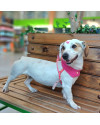 tica-small-2