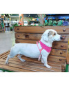 tica-small-3