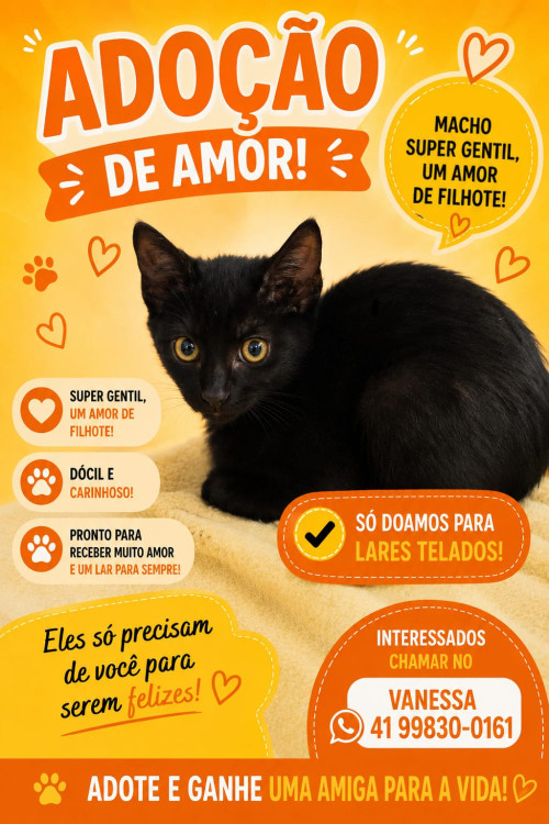 doacao-filhote-pretinho-adocao-doacao-cachorro-gato-0