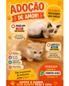 penelope-e-garfield-doacao-conjunta-small-0
