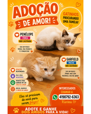 Penélope e Garfield doação conjunta