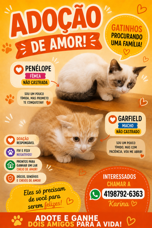 penelope-e-garfield-doacao-conjunta-adocao-doacao-cachorro-gato-0