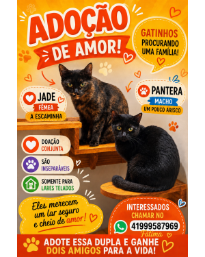 Jade e Pantera doação conjunta