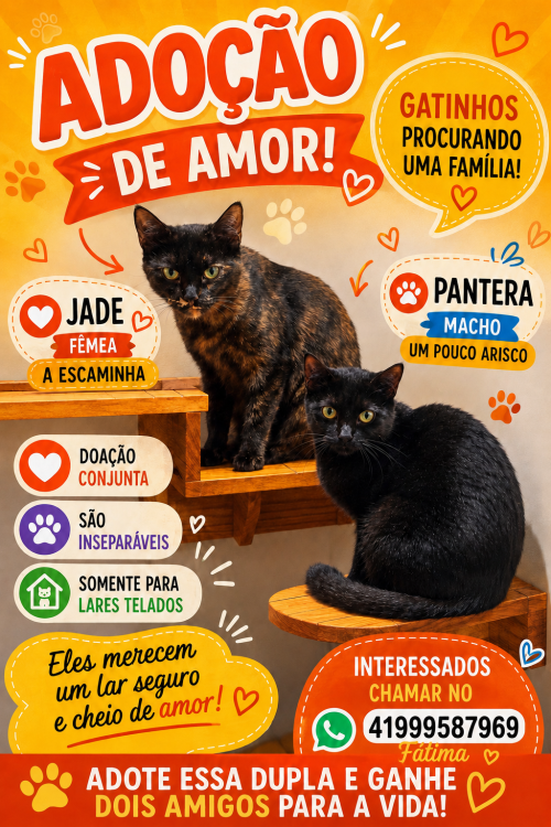 jade-e-pantera-doacao-conjunta-adocao-doacao-cachorro-gato-0