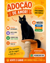 negao-adulto-charmoso-small-0
