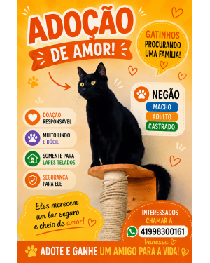 Negão adulto charmoso